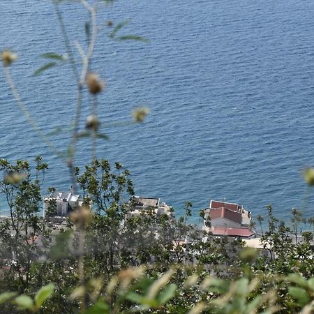 Casa Vacanze Luna Apartment Letojanni Bagian luar foto